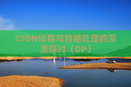 CSDN博客与数据处理的深度探讨（DP）
